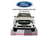 FORD EVEREST AMBIENT